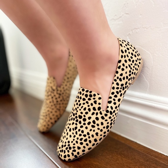 Cheetah Flats - Picture 4 of 5